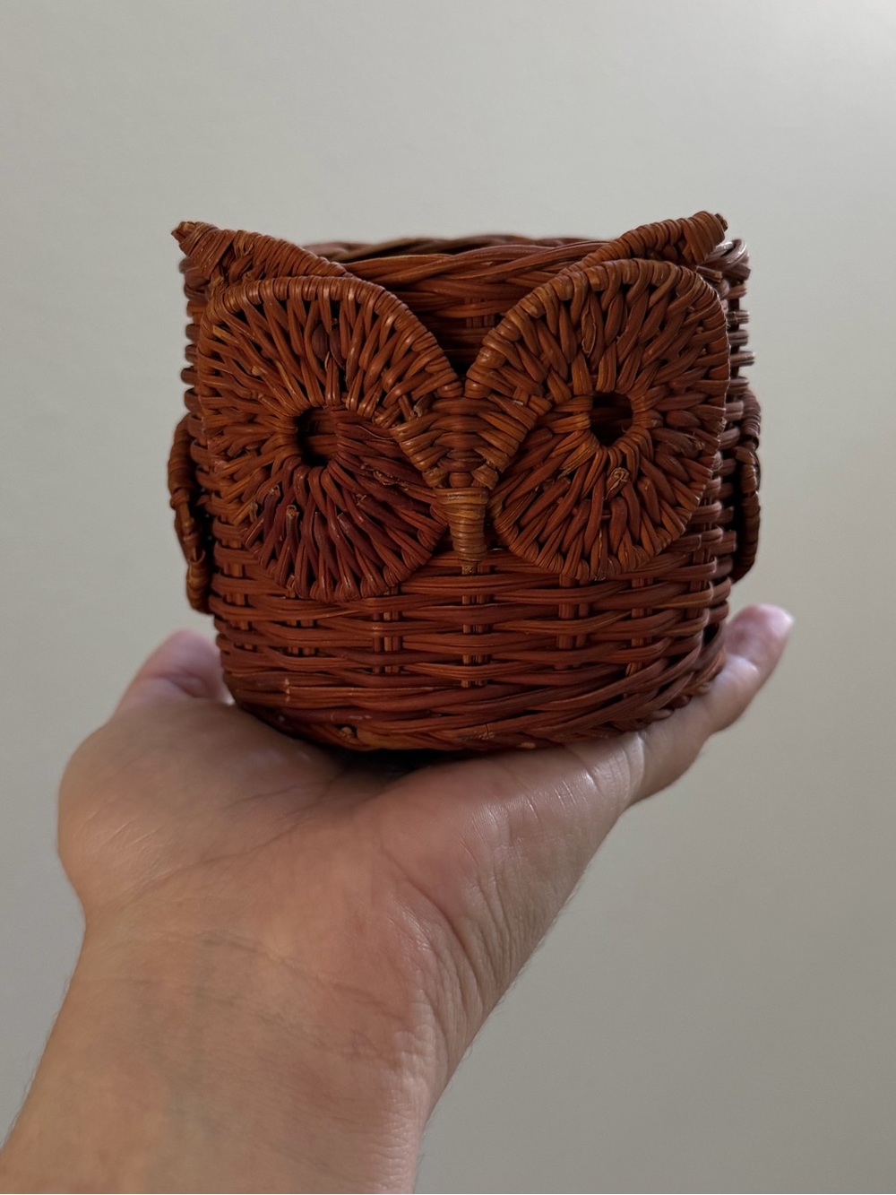 Small Owl Wicker Basket with Handle - Brown